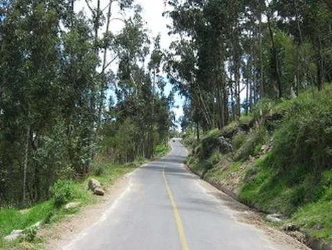 paved road lined w eucaliptas Huasalata