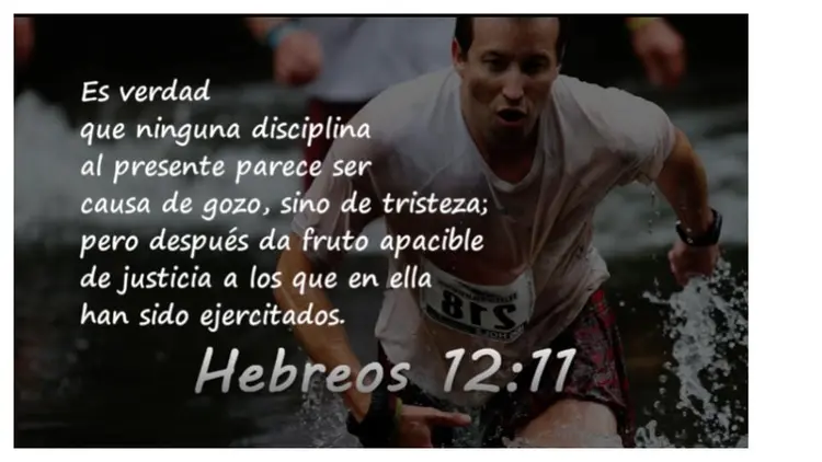 Hebrews 12:11
