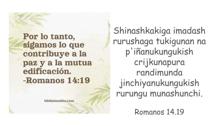 Romanos 14.19