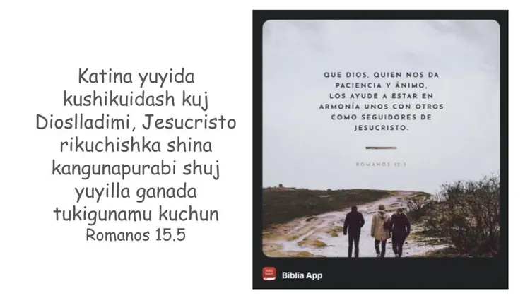Romanos 15.5