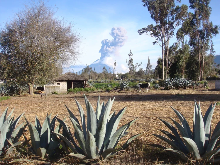 Salasaka paisaje Lorenzo