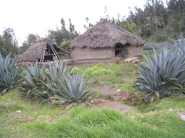old style house w cabuya fence.JPG