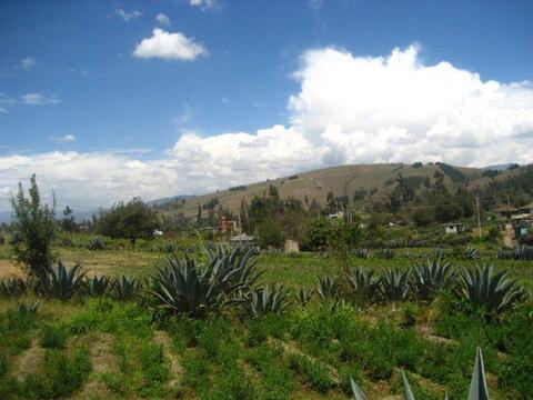 Ecuador 133.jpg