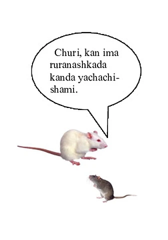 You must learn another language (k/w)